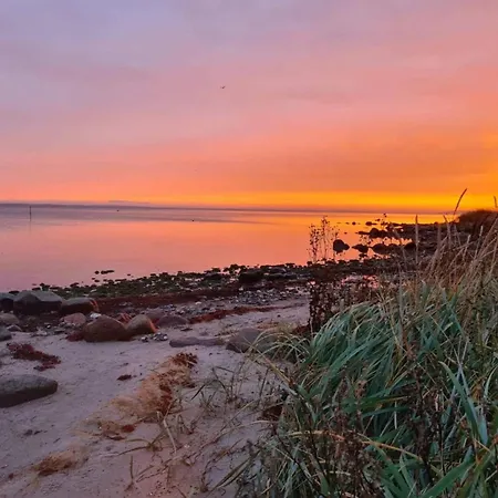 5 Person In Haderslev